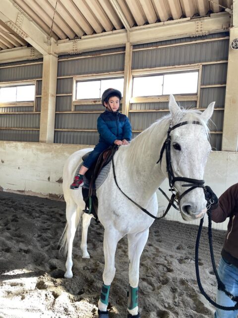久しぶりの乗馬教室でした!
初めは少し怖がっていましたが
すぐに慣れ、「楽しかった!」と
大喜びの子どもたちでした(^^)
#企業主導型保育園#認可外保育園#peek-A-boo
#乗馬教室#ユタカファーム