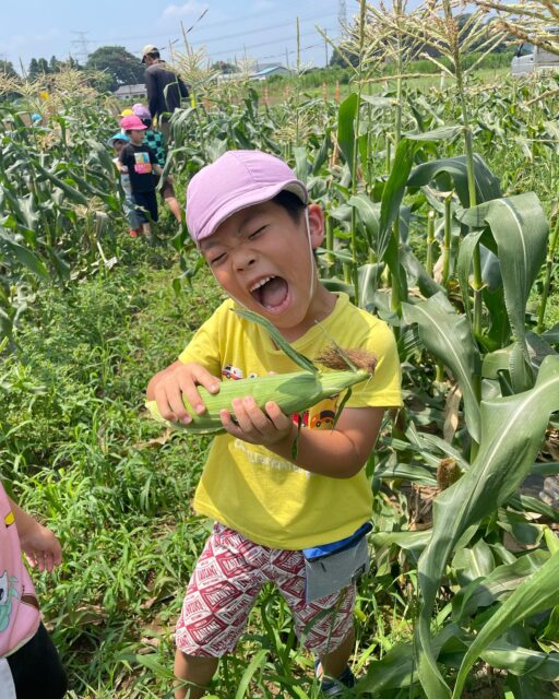 とうもろこし狩り
#peek-A-boo#ぴーかぶー#ピーカブー#保育園
#子ども#とうもろこし#とうもろこし狩り#収穫体験
#企業主導型保育園#認可外保育園#畑#野菜